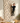 Kids Indoor Climbing Wall Panels